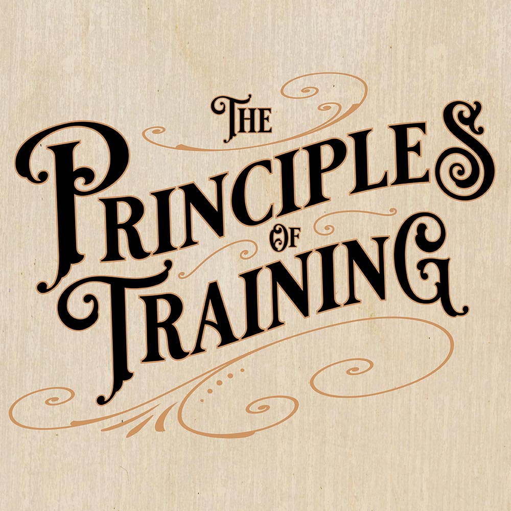 The Principles of Training